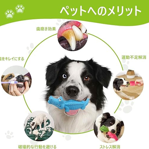 PETTENA Select 犬用耐噛み歯磨きおもちゃ
