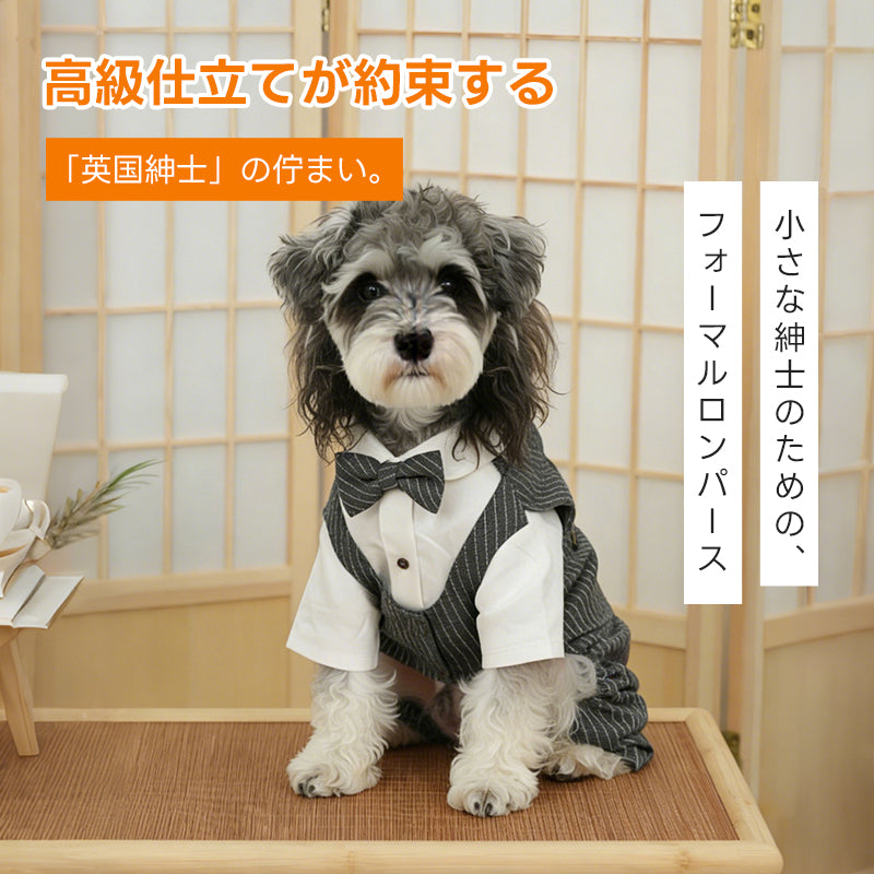 「小さな紳士のためのフォーマルロンパース」。タキシードシャツ紳士スタイルは、本格的なテーラリングで愛犬の特別な日を華やかに演出する最高級のドッグウェア。
