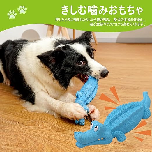 PETTENA Select 犬用耐噛み歯磨きおもちゃ