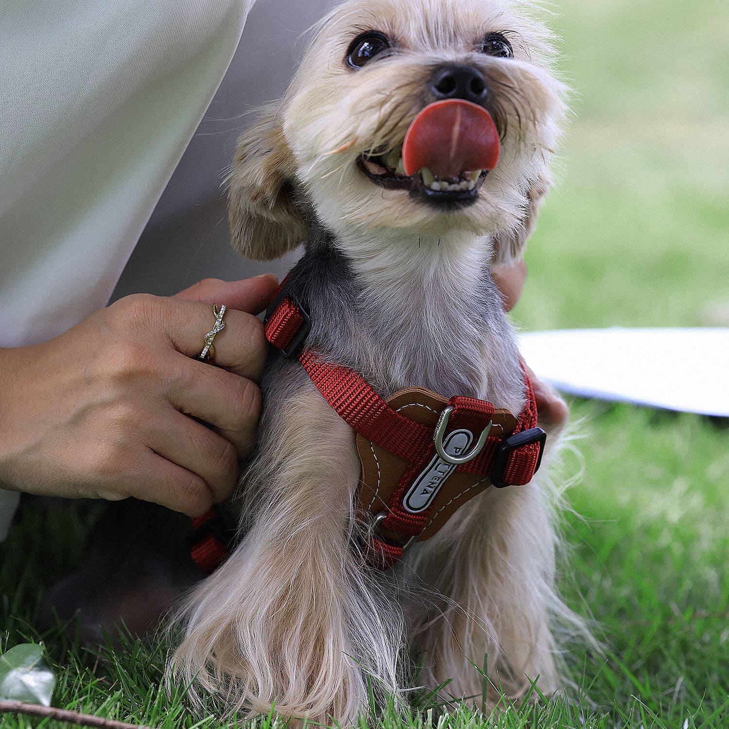 犬用リード 肩掛けバッグ付き 3点セット