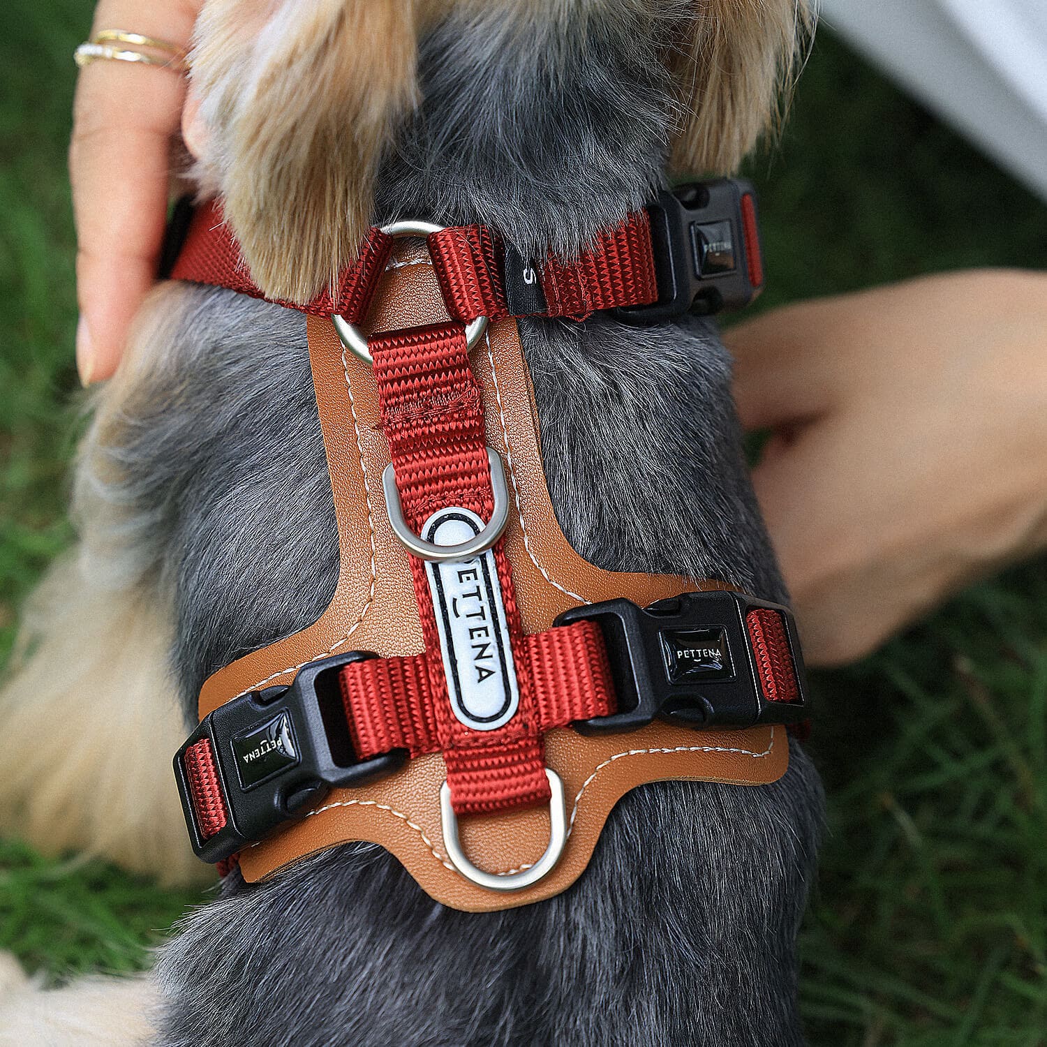 犬用リード 肩掛けバッグ付き 3点セット