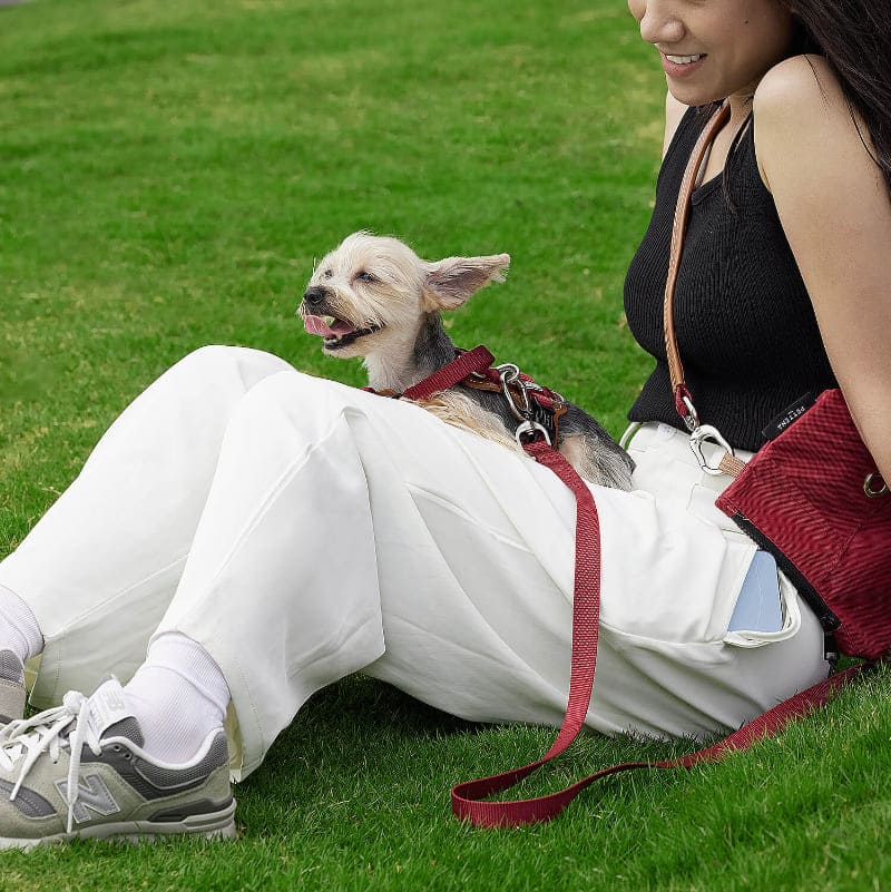 犬用リード 肩掛けバッグ付き 3点セット