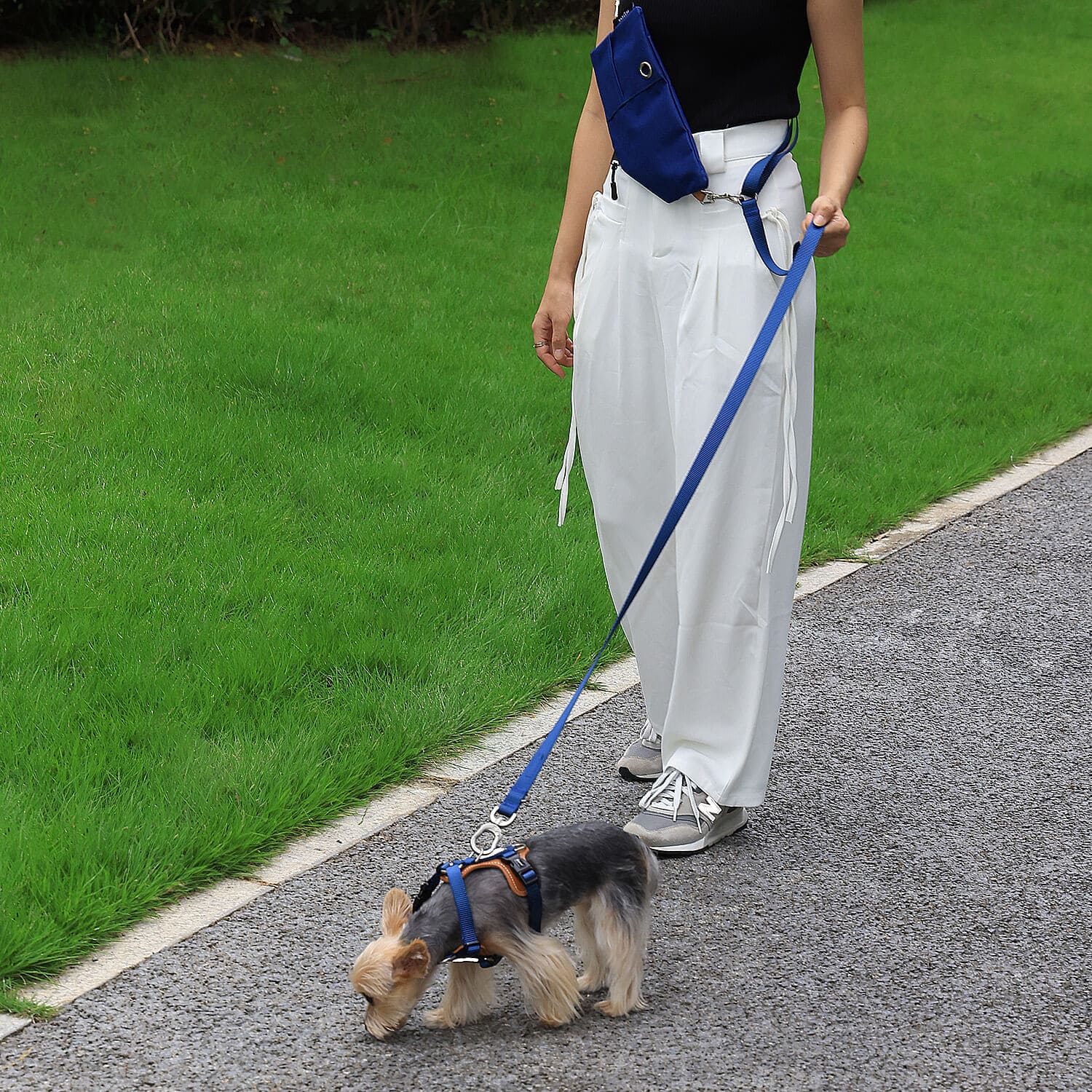 犬用リード 肩掛けバッグ付き 3点セット