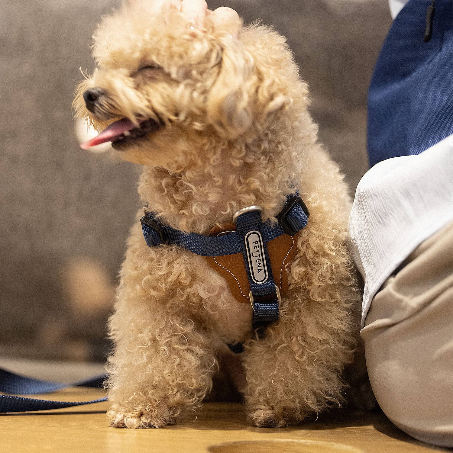 犬用リード 肩掛けバッグ付き 3点セット