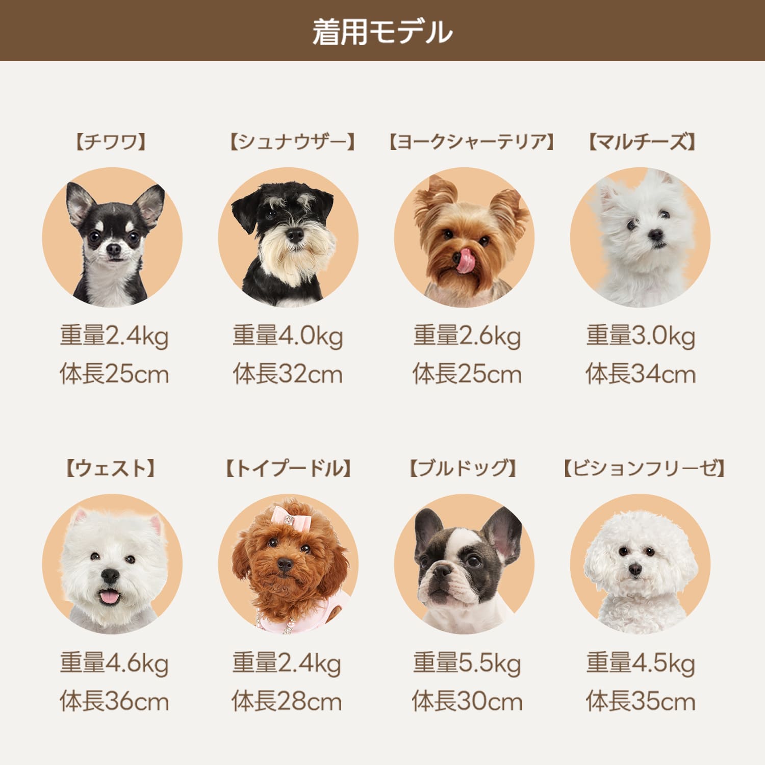 愛犬に合うサイズが見つかるHIYORIペットリュックのガイド。8犬種のモデルの体重と体長を参考に、最適なリュックを選べます