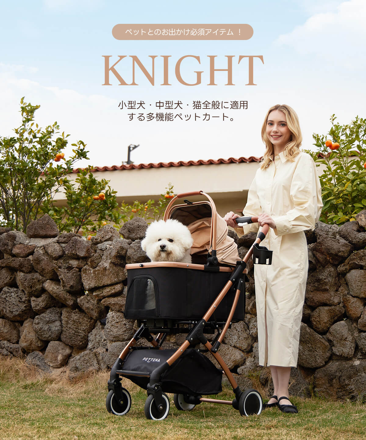 PETTENA 分離型ペットカートKNIGHTで小型犬と芝生庭で散歩する写真