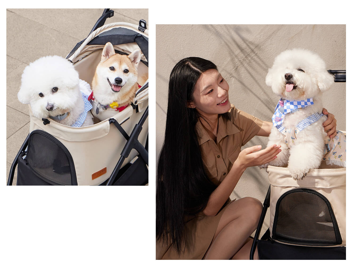柴犬が乗っているペットカート