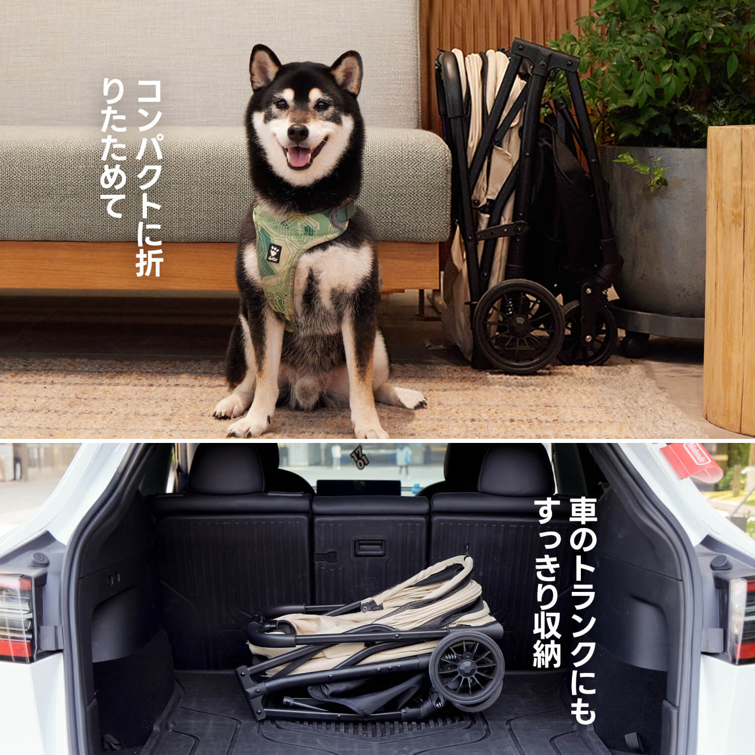 PETTENA 軽量一体型ペットカートNEWTONがコンパクトに折りたたみ、玄関と車のトランクに収納された写真