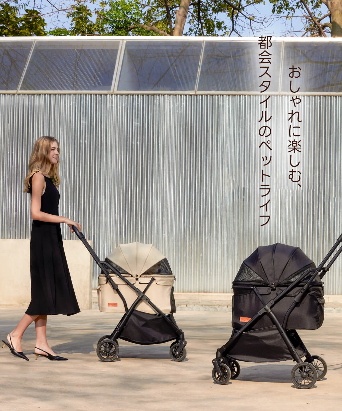 おしゃれな犬バギーNEWTONで犬と町で散策する写真