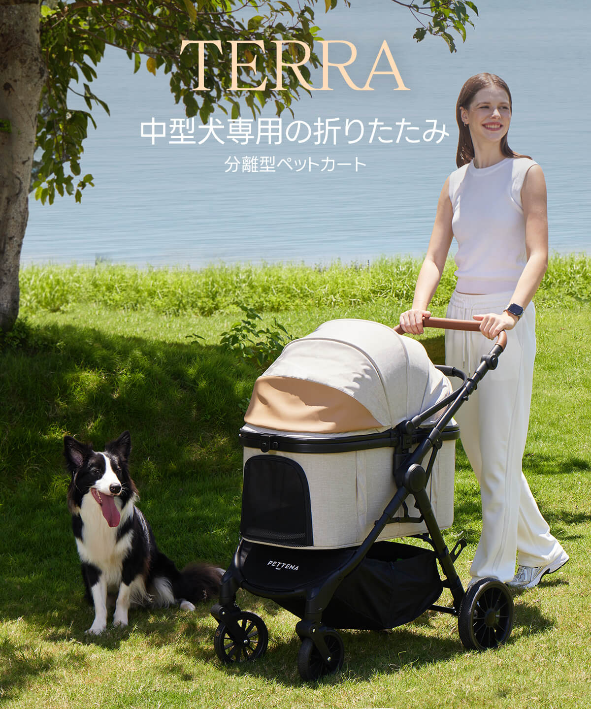 PETTENA 中型犬や多頭飼い用折りたたみ式分離型ペットカート TERRAを押しながら、犬と公園で散歩する様子