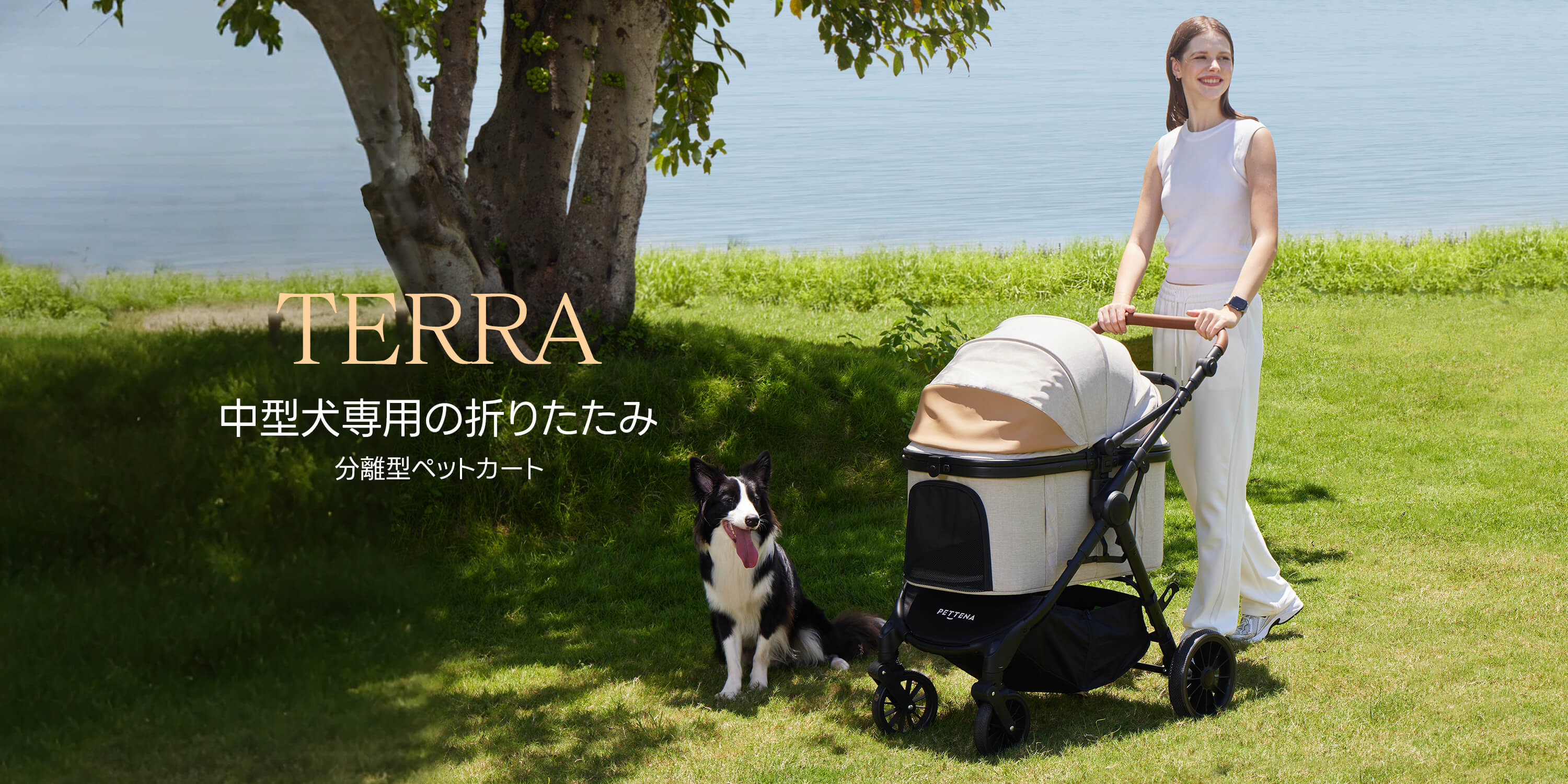PETTENA 中型犬や多頭飼い用折りたたみ式分離型ペットカート TERRAを押しながら、犬と公園で散歩する様子
