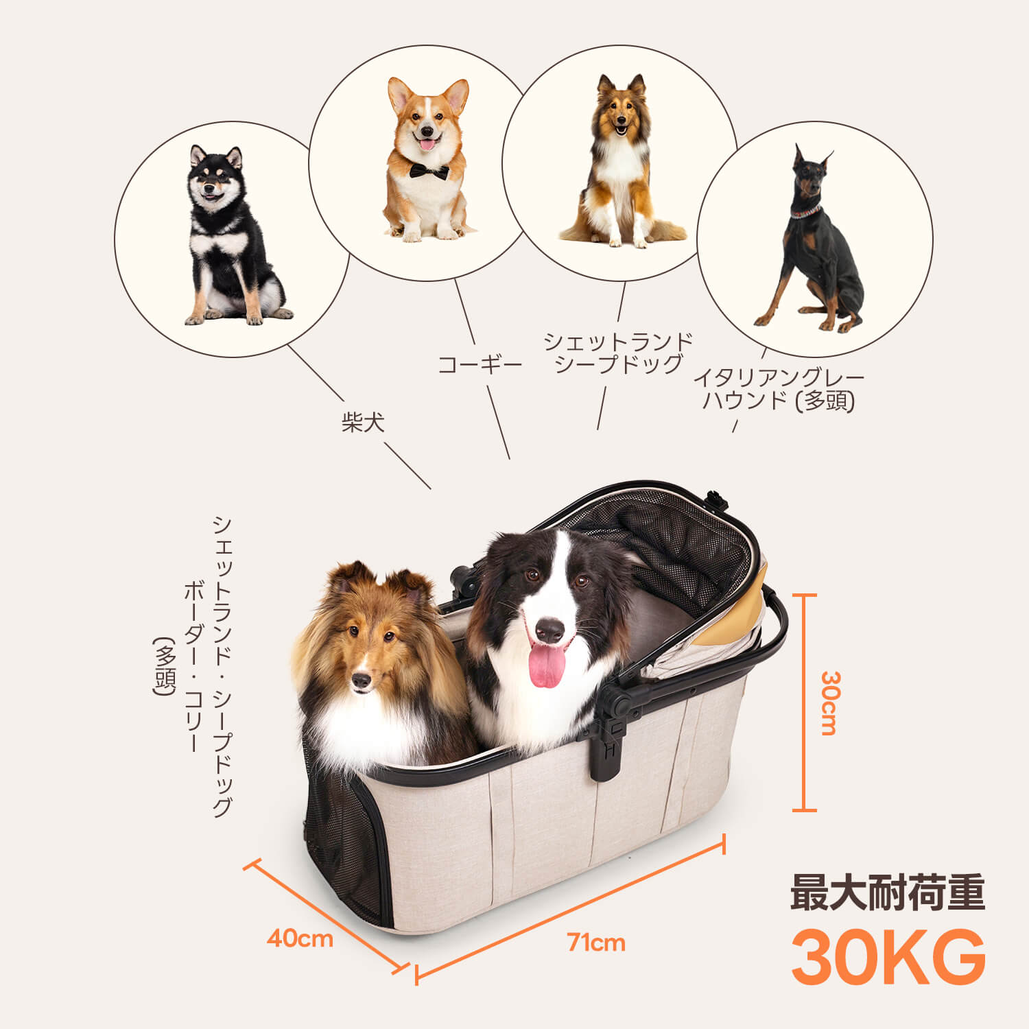 PETTENA 中型犬や多頭飼い用折りたたみ式分離型ペットカート TERRAが対応できる犬種-柴犬、コーギー、シェルティ、イタリアングレーハウンドなど