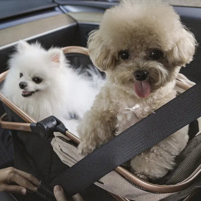 PETTENAの小型犬用ベビーカーKNIGHTの分離キャリーコットで車載する2匹の犬の写真