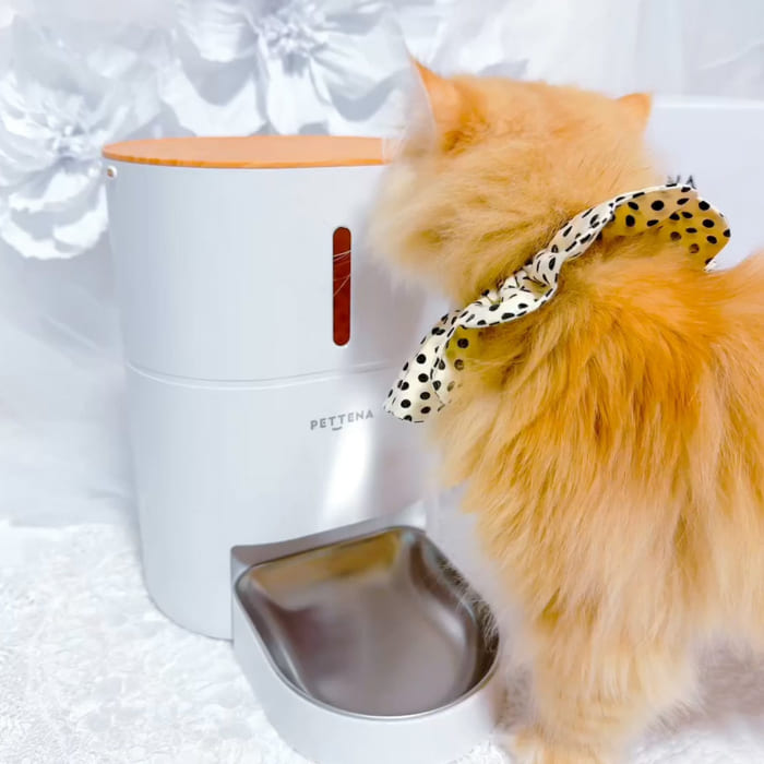 猫が自動給餌器の匂いを嗅ぐ様子