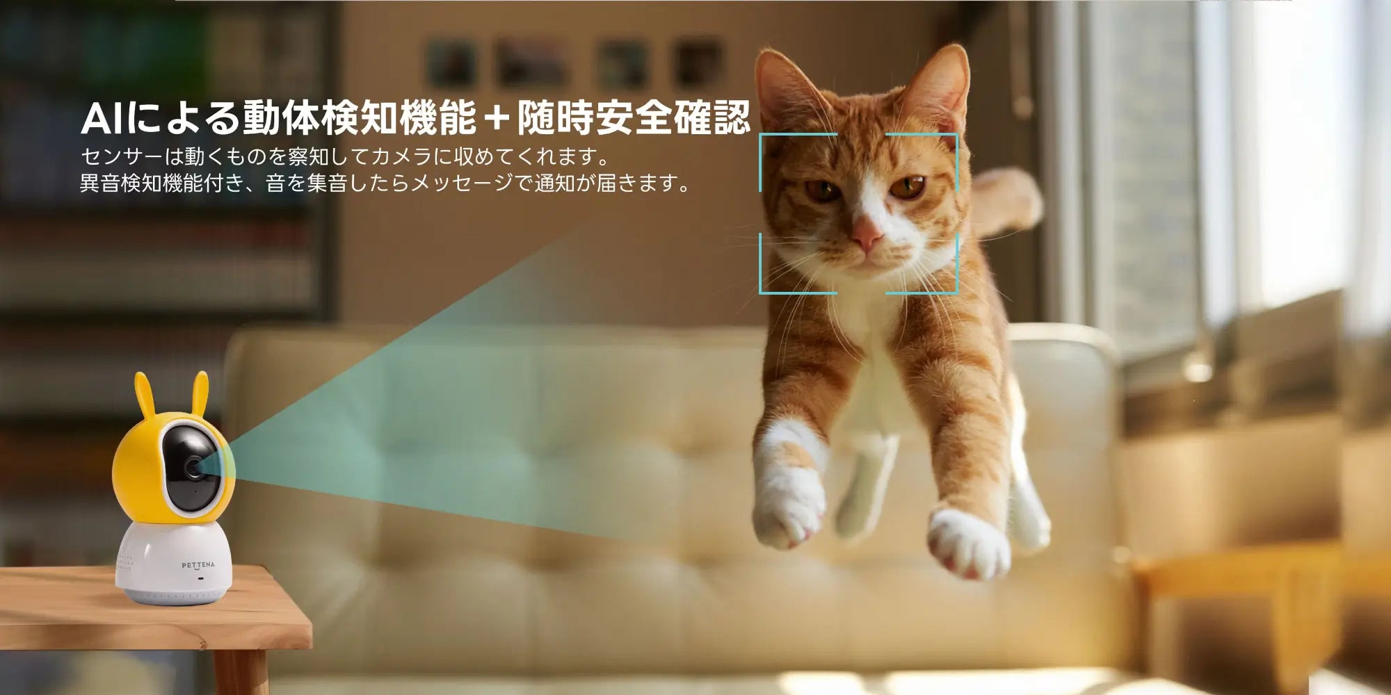 小型ペットカメラの動体検知機能で犬猫の動きを確認可能