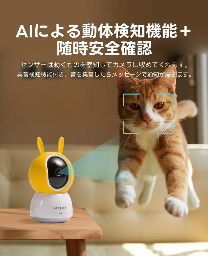 小型ペットカメラの動体検知機能で犬猫の動きを確認可能