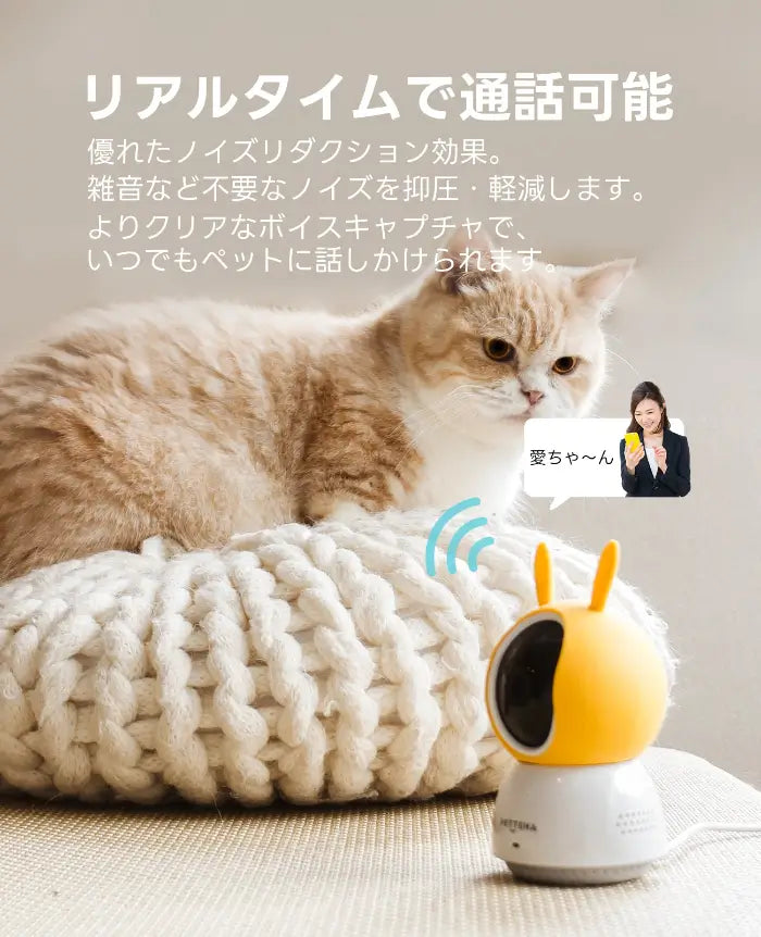 小型ペットカメラの通話機能で犬猫と話しかける