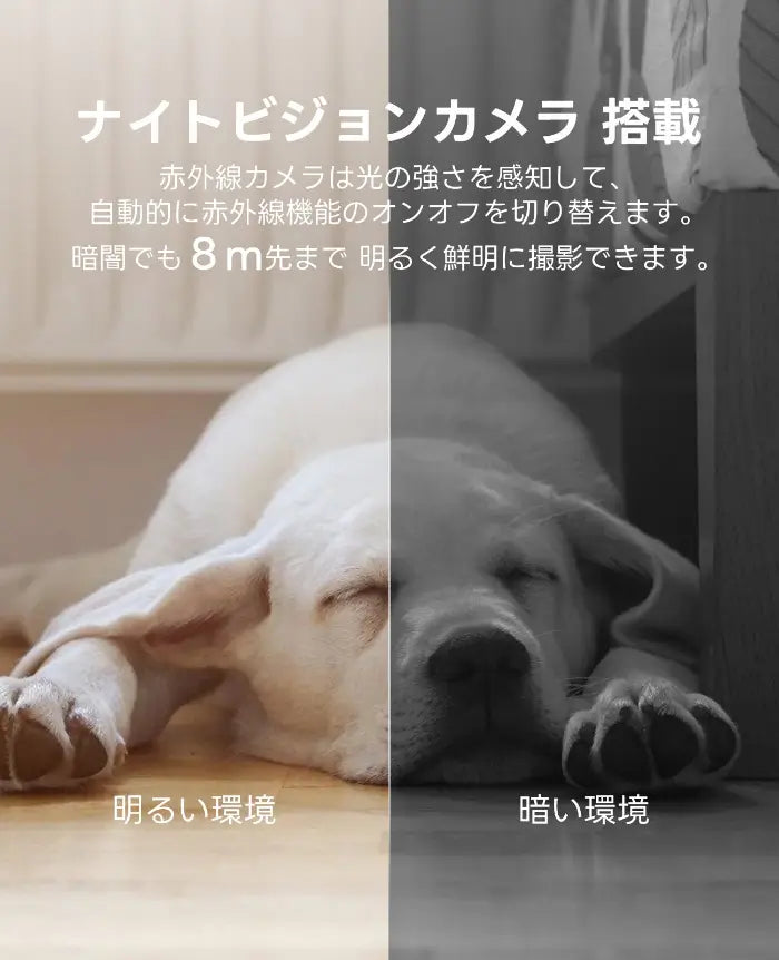 小型ペットカメラのナイトビジョン機能で犬猫をはっきり摂れる