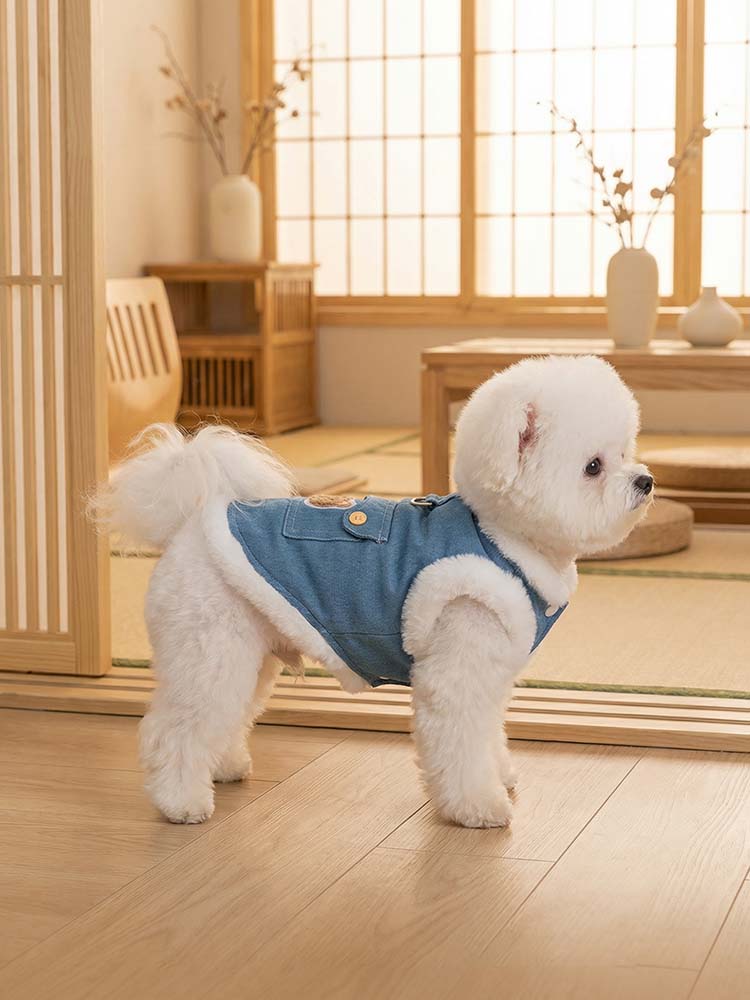 デニムブルーのベストを着用した白い小型犬が、和室の畳のそばで立っている横顔。腕回りや裾の白いボアがアクセントになり、厚手ながらもスリムなシルエットが特徴。背中のポケットにはクマの刺繍が施されている。
