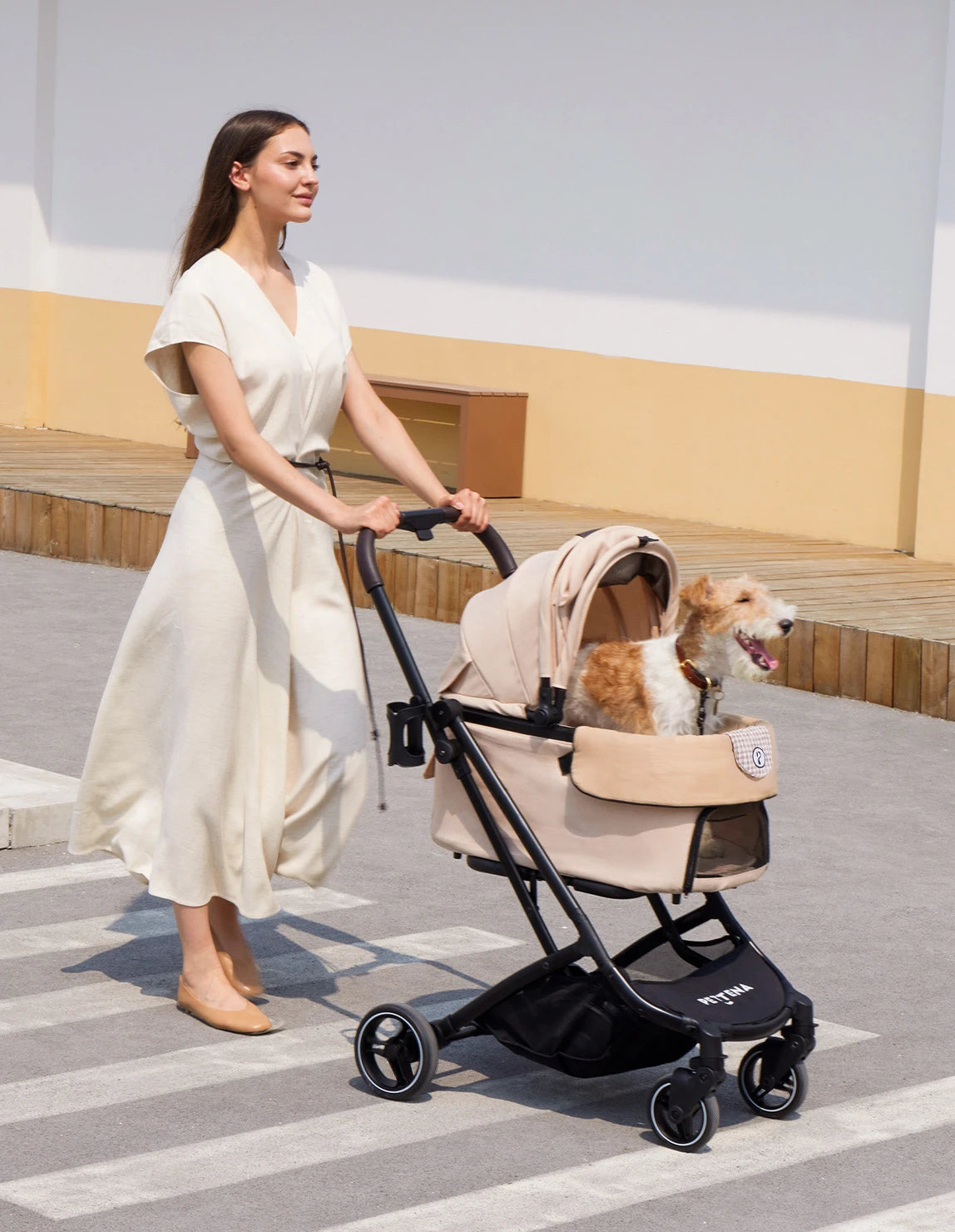 キャリーカートで犬の安全を守る