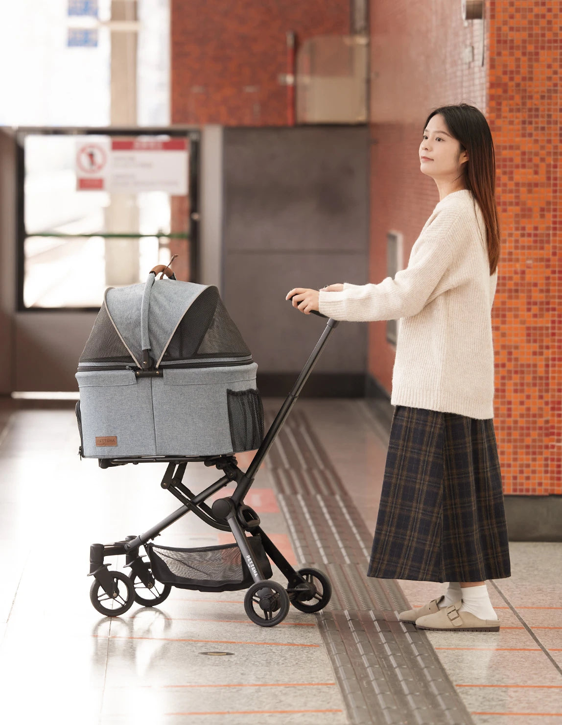 カートで犬を電車に乗せる