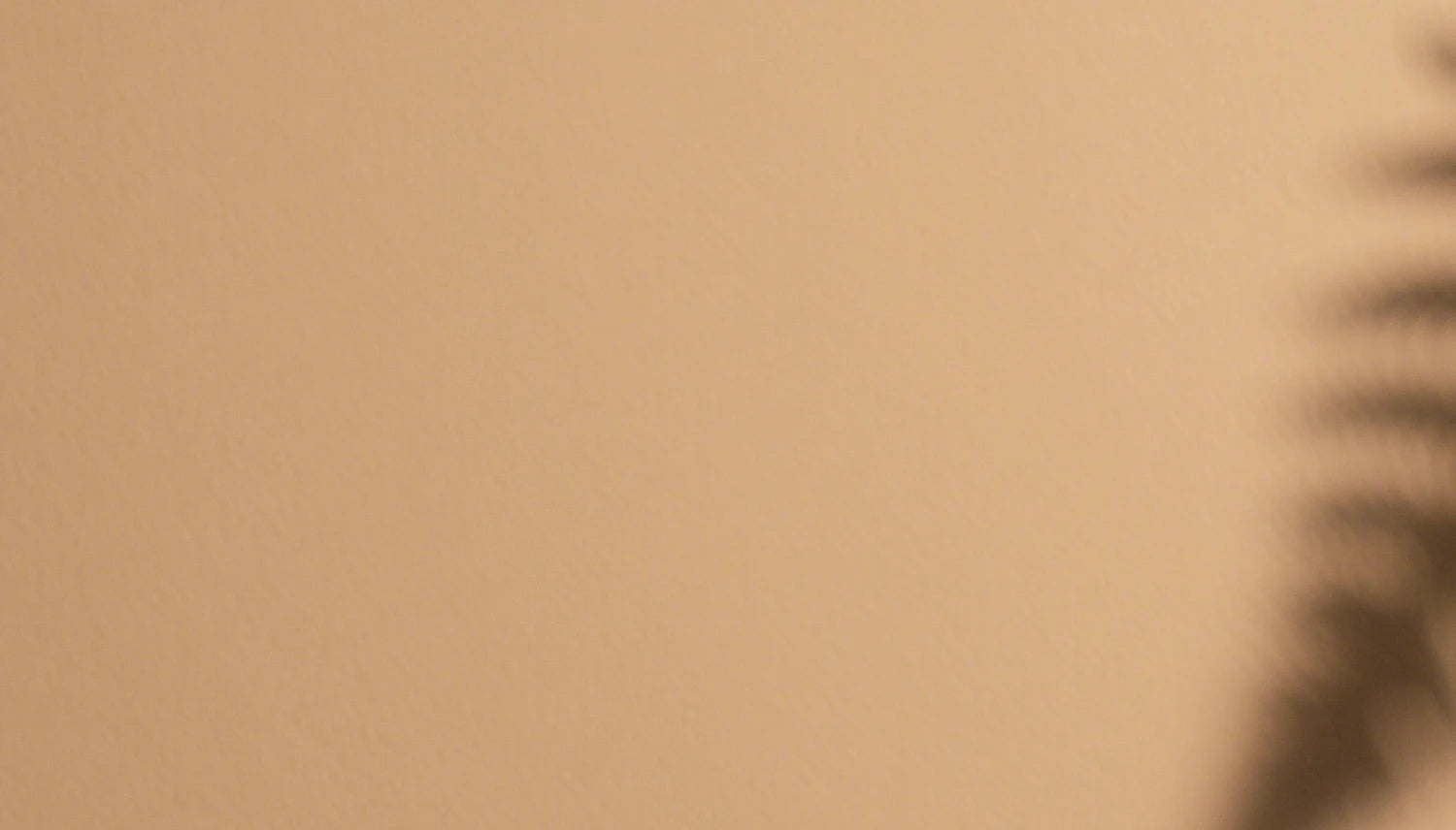 安心なカートの機能