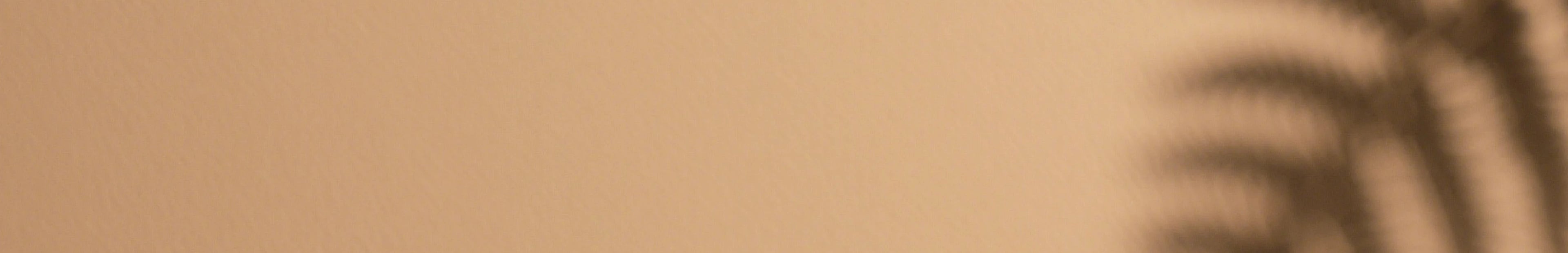 ペットカートの安心機能