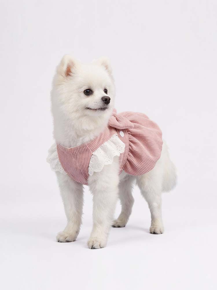 小型犬の体型に合わせた立体裁断により、横から見ても美しいシルエットを保つ犬服。中厚手のコーデュロイ素材が10〜15℃の肌寒い日にも対応し、袖口のレースが愛犬の動きに合わせて揺れる、機能性と可愛さを兼ね備えたデザイン。