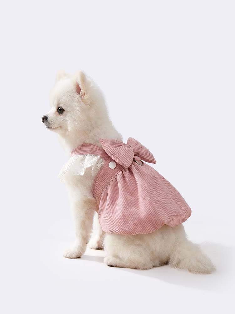 座った状態でも形が崩れず、愛犬の体を優しく包み込む立体裁断のドッグウェア。着脱が簡単なスナップボタンと、お散歩に便利なDカンを装備。10〜15℃前後の季節に、おしゃれを楽しみながら快適に過ごせる機能的な一着。