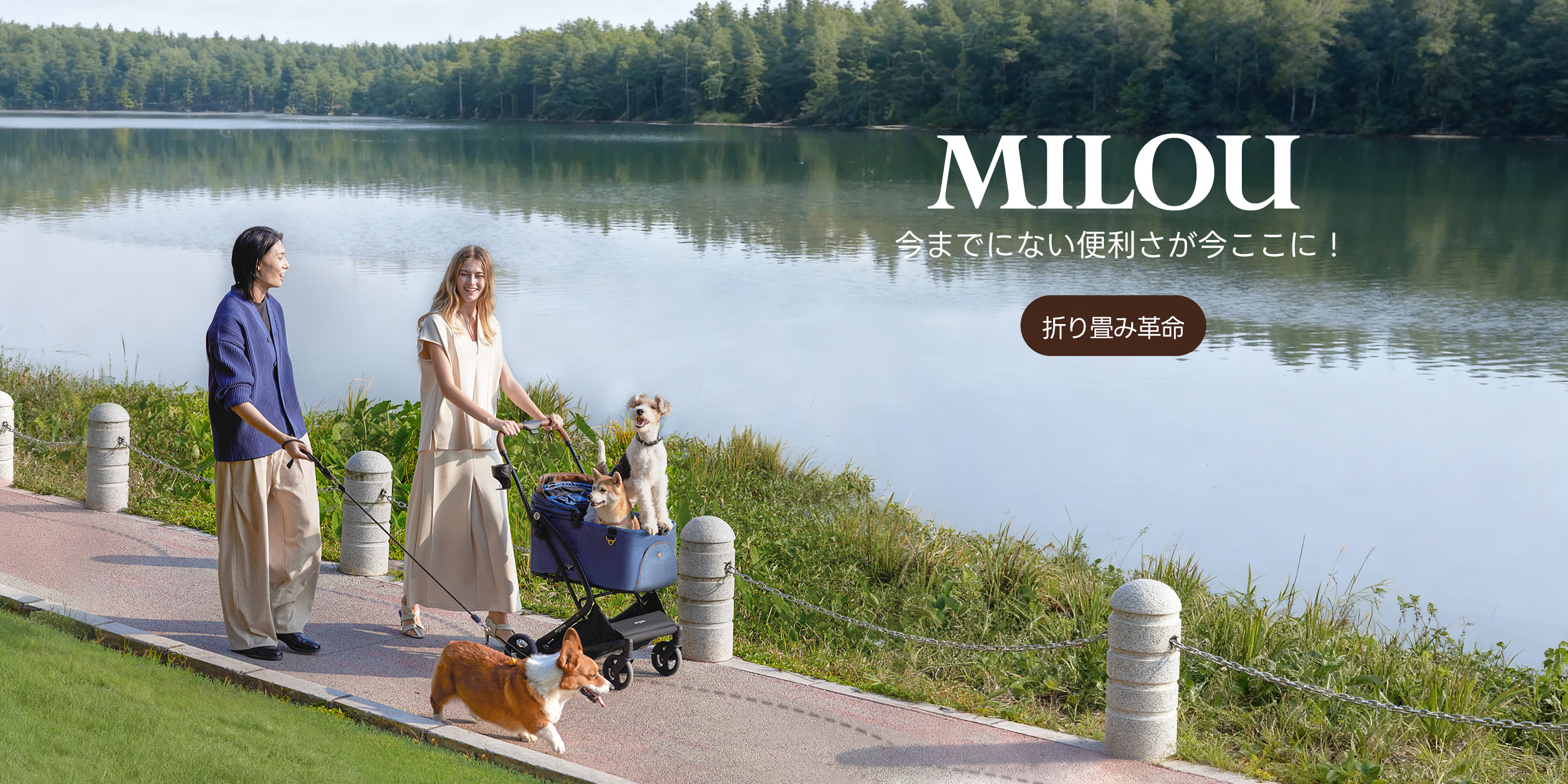 PETTENA ワンタッチ折りたたみ式分離型MILOUペットカートに多頭の犬を乗せて、公園で散歩する写真