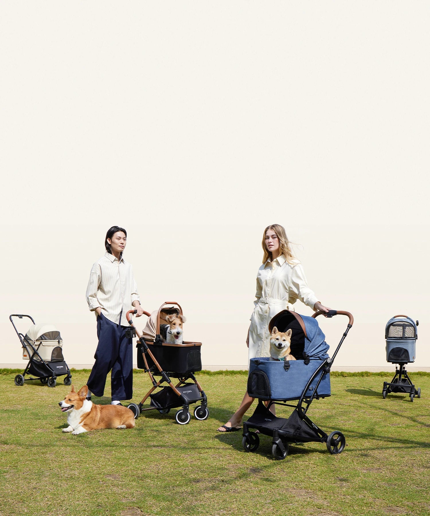 キャリーカートの選び方