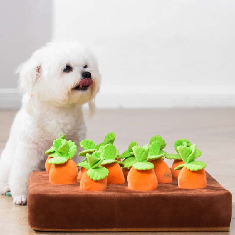 PETTENA Select にんじん畑おもちゃ