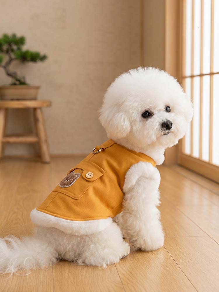 ビタミンイエローの明るいベストを着た白い小型犬が室内で座っている姿。厚手の裏ボアが首元や裾にあしらわれ、背中には可愛いクマの刺繍とリード用Dカンが付いた、冬の景色に映えるお洒落な防寒ウェア。