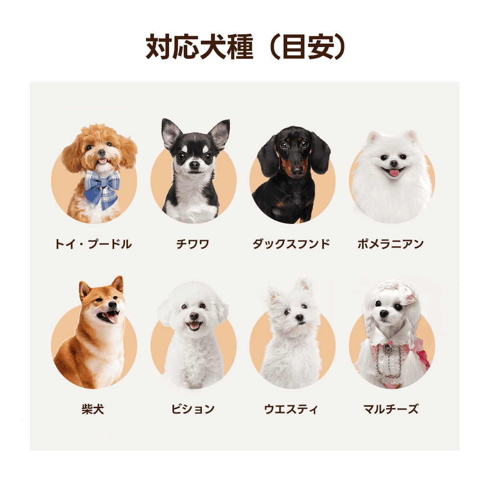 トイプードル、チワワ、ダックスフンド、ポメラニアン、柴犬、ビションフリーゼ、ウエスティ、マルチーズの8犬種のイラスト。AirHold伸縮リードやペットカートが適応する代表的な小型犬から中型犬までを分かりやすくアイコン形式で一覧表示したガイド画像です。