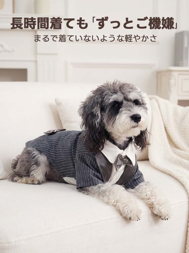 PETTENAの軽量犬用タキシード。ストライプ柄のシックなデザインと、長時間着ても疲れない軽やかな素材が特徴です。愛犬の負担を軽減しつつ、お揃いコーデや記念撮影を最後まで楽しく過ごせる高品質なペット用フォーマル服。