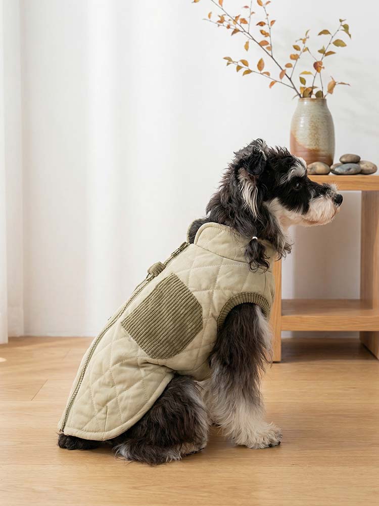 PETTENAの裏起毛ベストを着用した愛犬。キルティングとコーデュロイをミックスした高いデザイン性と、ハーネス一体型の利便性を両立。首元までしっかりガードする厚手設計で、冬のお散歩を快適かつおしゃれに演出します。