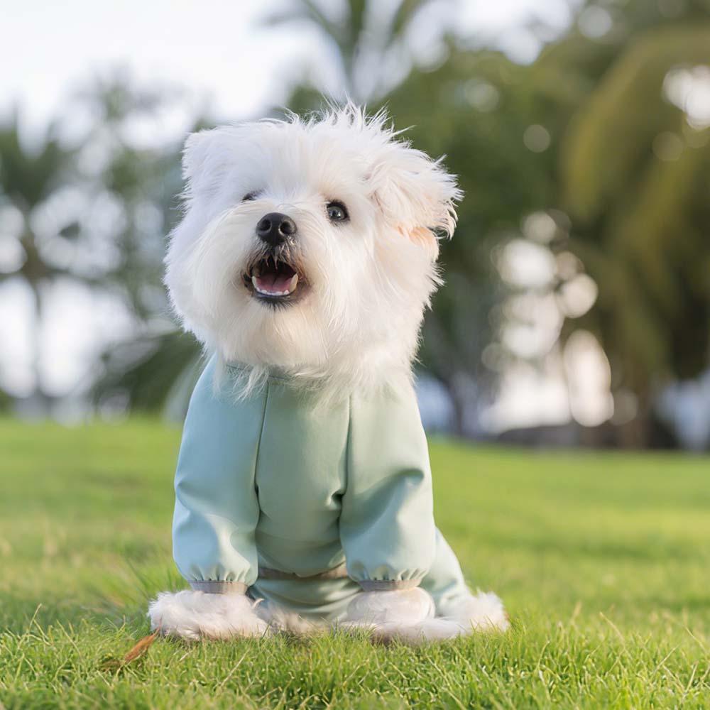 秋冬の寒風を防ぐ、首元までしっかりカバーした水色の犬用スポーツウェア。前足の袖口はゴム入り仕様でフィット感が高く、アクティブに動いても暖かさを逃さない。
