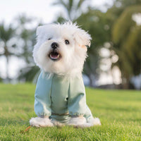 秋冬の寒風を防ぐ、首元までしっかりカバーした水色の犬用スポーツウェア。前足の袖口はゴム入り仕様でフィット感が高く、アクティブに動いても暖かさを逃さない。