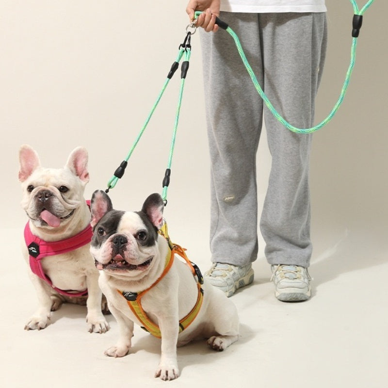 PETTENA Select 犬 リード 2匹用2頭引き