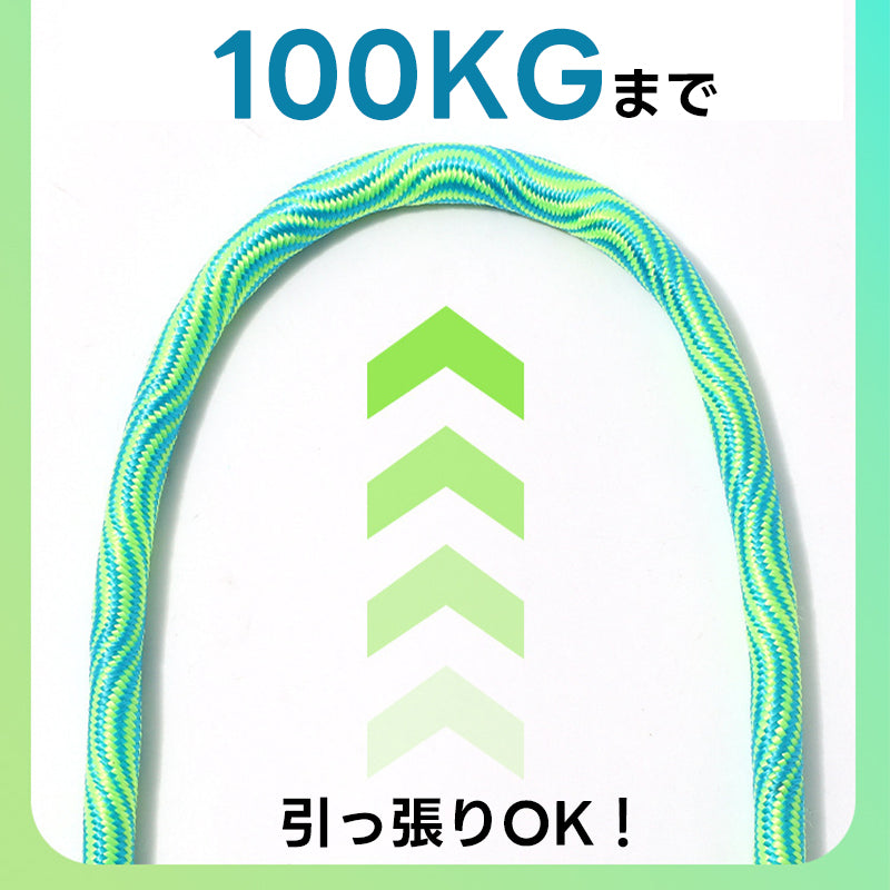 PETTENA Select 犬 リード 2匹用2頭引き