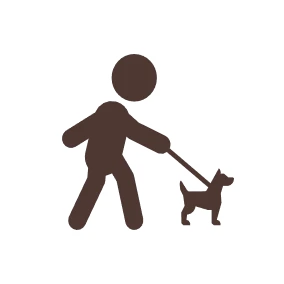 犬と散歩