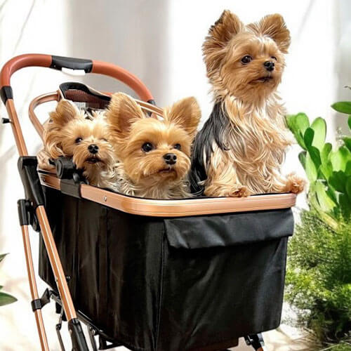 小型犬多頭飼い向けPETTENAペットカートKNIGHTの画像