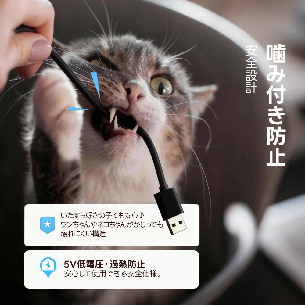 噛み癖のある犬猫にも安心な5V低電圧設計のホットカーペット。万が一コードを噛んでも感電や過熱のリスクがない安全仕様を解説しています。