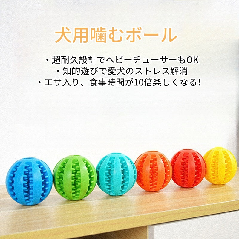 PETTENA Select 犬用噛むボール エサ入れ【2個セット】