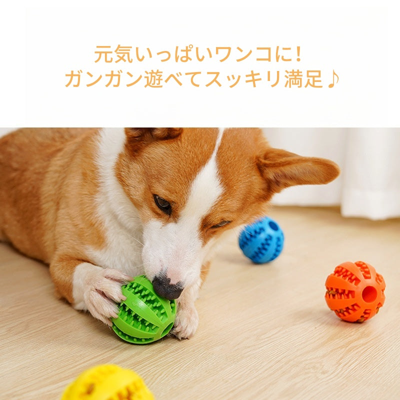 PETTENA Select 犬用噛むボール エサ入れ【2個セット】