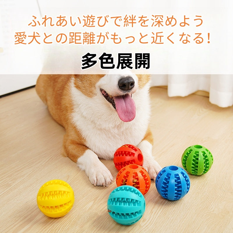 PETTENA Select 犬用噛むボール エサ入れ【2個セット】