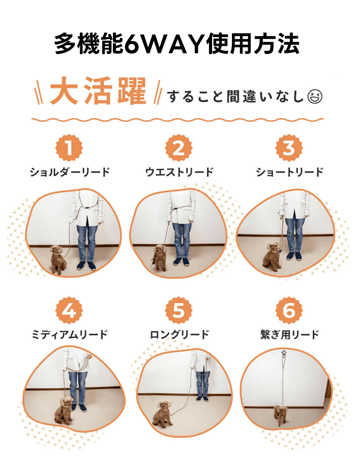PETTENA Select 6in1 多機能ハンズフリー犬用リード