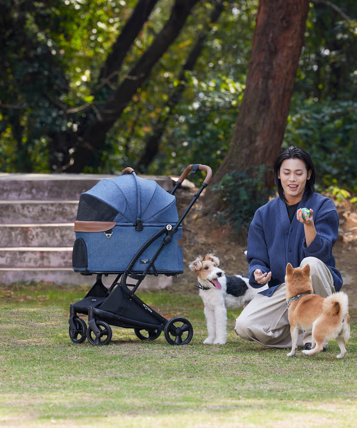 PETTENA ワンタッチ折りたたみ式分離型ペットカートMILOUで柴犬と芝生広場で遊ぶ様子