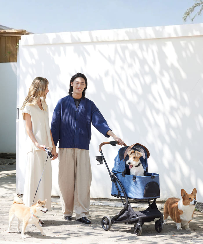 PETTENA ワンタッチ折りたたみ式分離型MILOUペットカートで3匹犬と出かけて散歩する写真