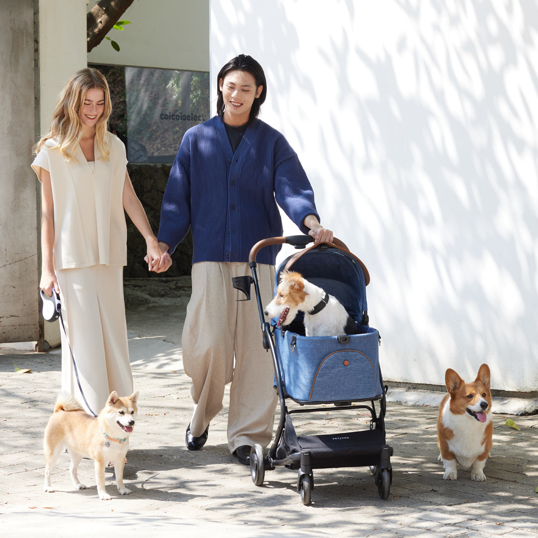 PETTENA ワンタッチ折りたたみ式分離型MILOUペットカートで3頭犬と散歩する写真
